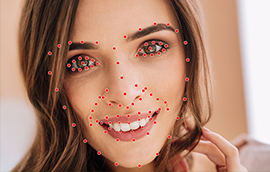 新币2平台人脸关键点标注